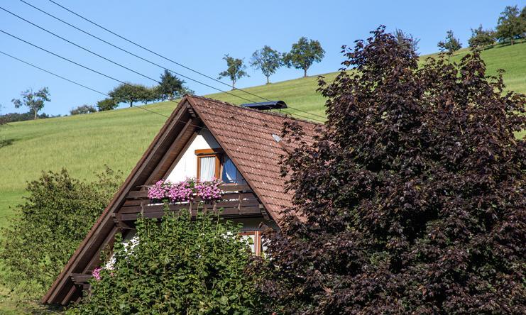 Ferienwohnung Kornbauernhof Oberharmersbach Exterior foto